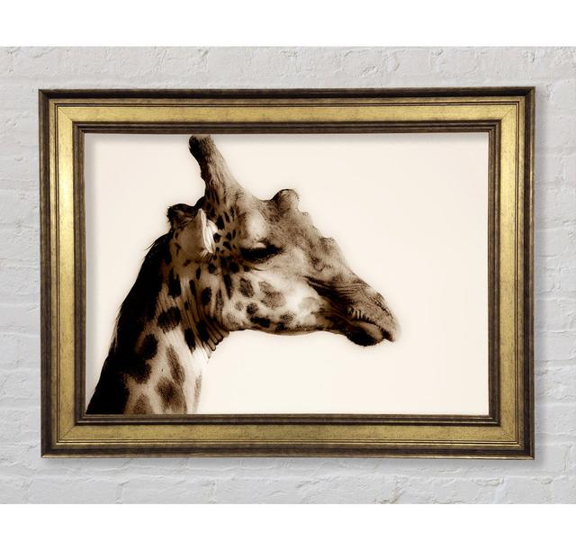 Giraffe Head Stare Framed Print Bright Star Size: 100cm H x 141.4cm W x 8cm D on Productcaster.