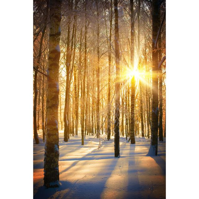 Winter Landscape by Vnosokin - Wrapped Canvas Print Alpen Home Size: 122cm H x 81cm W x 3.8cm D on Productcaster.