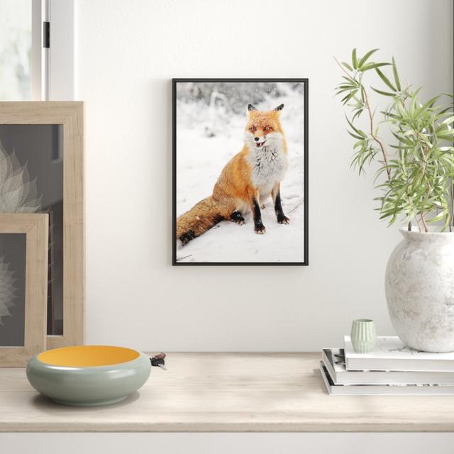 Gerahmtes Wandbild Snow Fox East Urban Home Größe: 100 cm H x 70 cm B, Matte Farbausführung: Weiß on Productcaster.