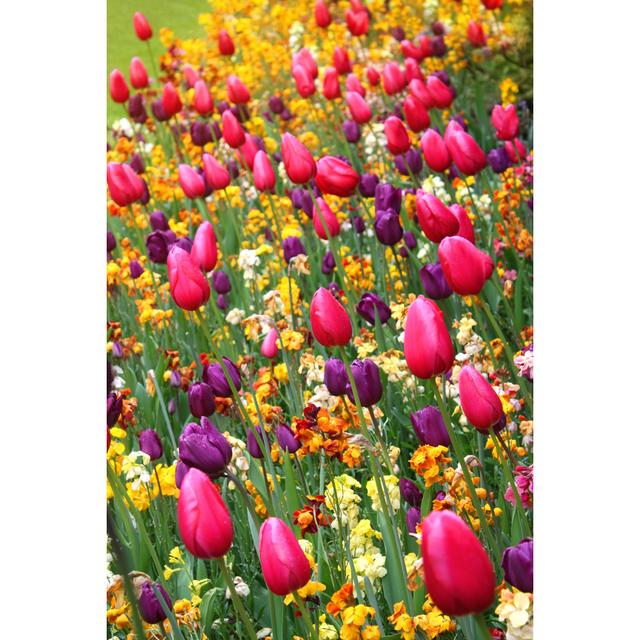 Spring Colourful Flowers by Rvika - Wrapped Canvas Photograph 17 Stories Size: 30cm H x 20cm W x 3.8cm D on Productcaster.