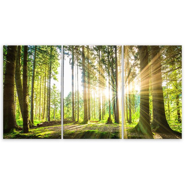 Canvas Print Forest Trees Nature Union Rustic Size: 80cm H x 120cm W on Productcaster.