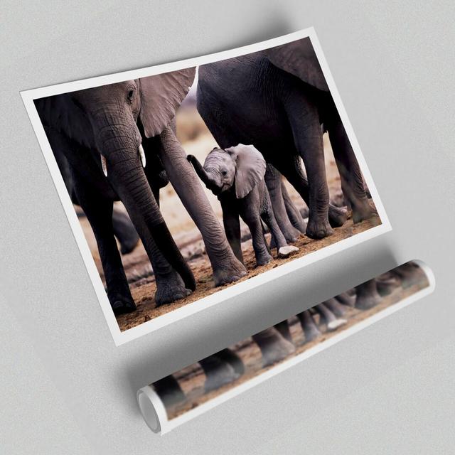 Baby Elephant Love Wild Life - Graphic Art Print on Paper East Urban Home Size: 42cm H x 59.4cm W on Productcaster.