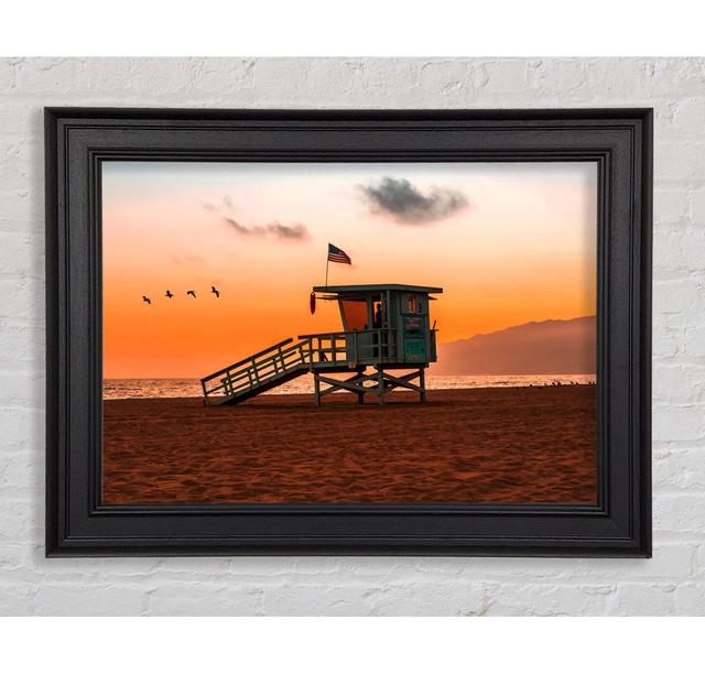 Birds Of Paradise Framed Print Highland Dunes Size: 21cm H x 42cm W on Productcaster.