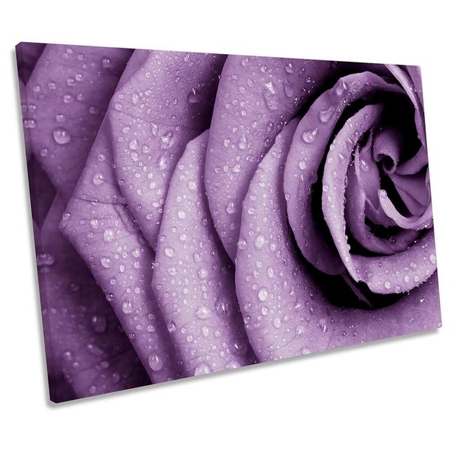 Purple Plum Rose Flower Floral Framed - Wrapped Canvas Art Prints Ebern Designs Size: 40.6cm H x 61cm W x 2cm D on Productcaster.