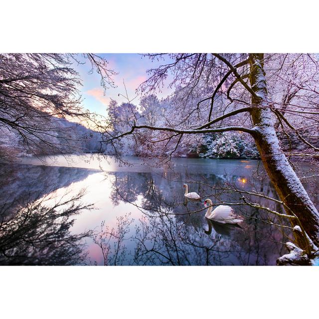 Gledhow Lake In Winter by Dark_Eni - No Frame Print on Canvas 17 Stories Size: 61cm H x 91cm W on Productcaster.