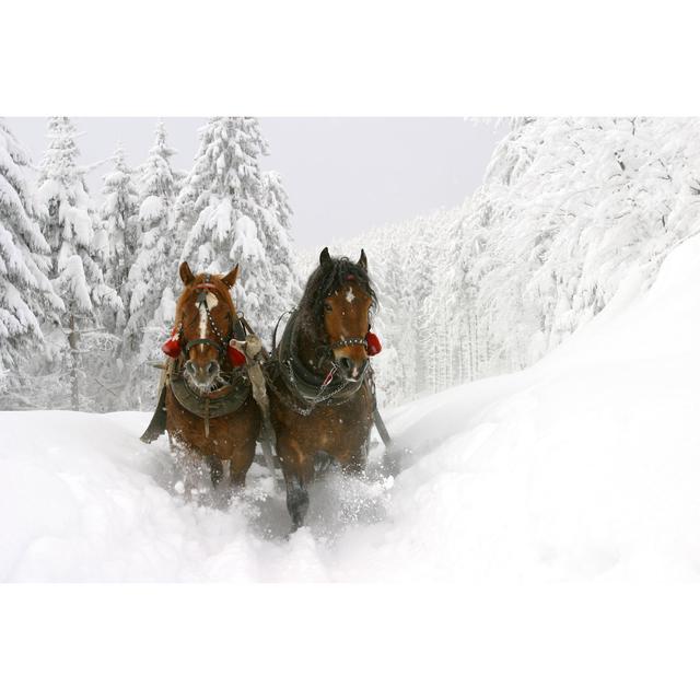 Sleigh Ride - Wrapped Canvas Print Union Rustic Size: 61cm H x 91cm W on Productcaster.