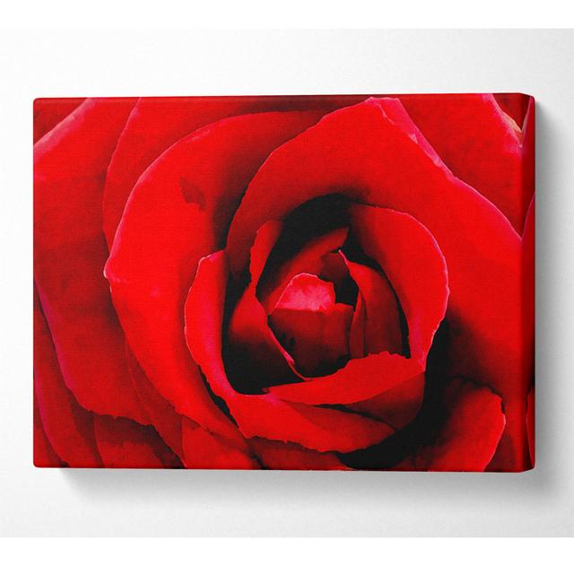 Red Rose Velvet Petals - Wrapped Canvas Art Prints Latitude Run Size: 101.6cm H x 142.2cm W x 10cm D on Productcaster.