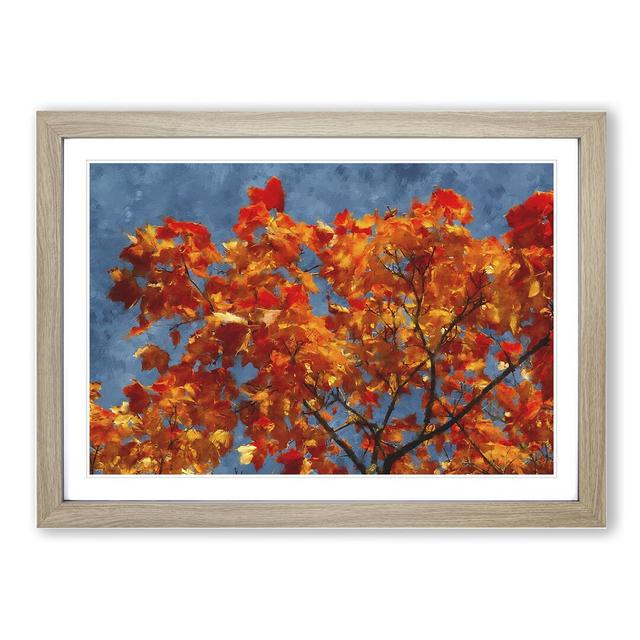 Maple Tree Vol.3 - Picture Frame Graphic Art East Urban Home Frame Option: Oak Framed, Size: 48cm H x 65cm W x 2cm D on Productcaster.