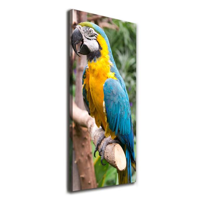 Ara Parrot - Kunstdrucke auf Leinwand - Wrapped Canvas Sansibar Home on Productcaster.