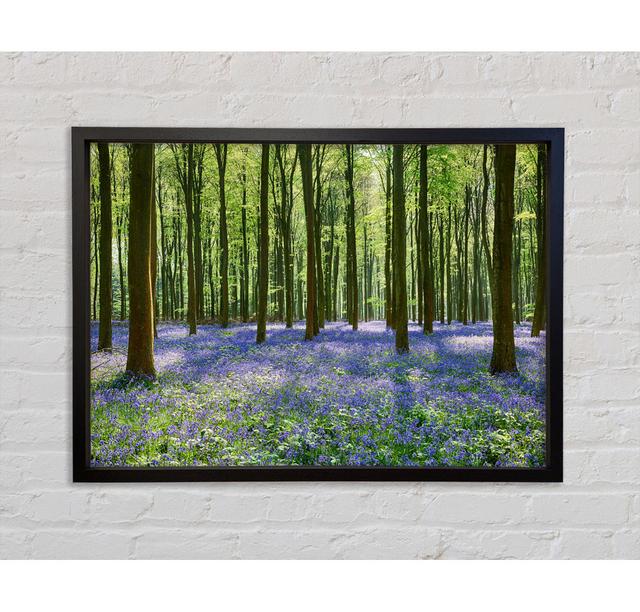 Mystical Bluebell Woodland - Einzelner Bilderrahmen Kunstdrucke auf Leinwand Bright Star Größe: 100 cm H x 141,4 cm B x 3,3 cm T on Productcaster.