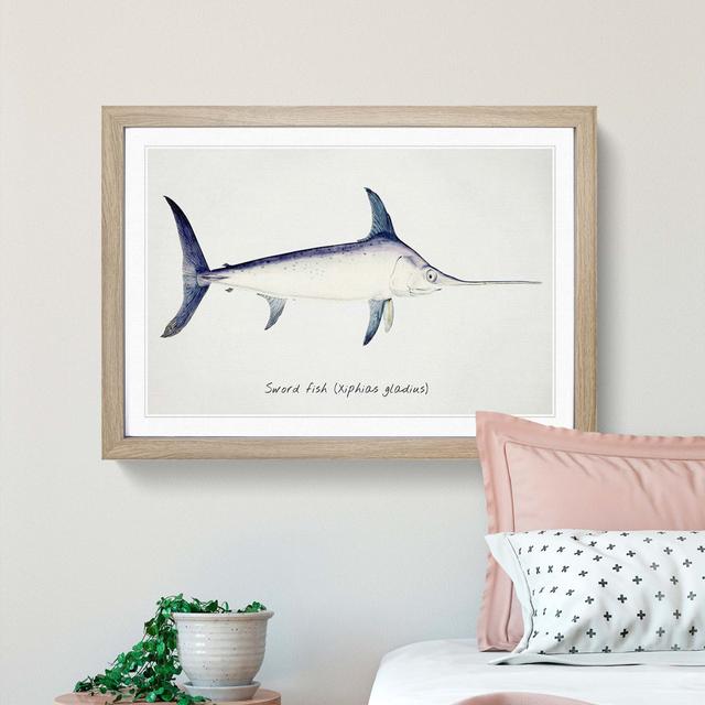 Illustration of a Swordfish by F.E. Clarke - Picture Frame Graphic Art Print East Urban Home Frame Option: Oak Framed, Size: 36cm H x 48cm W x 2cm D on Productcaster.