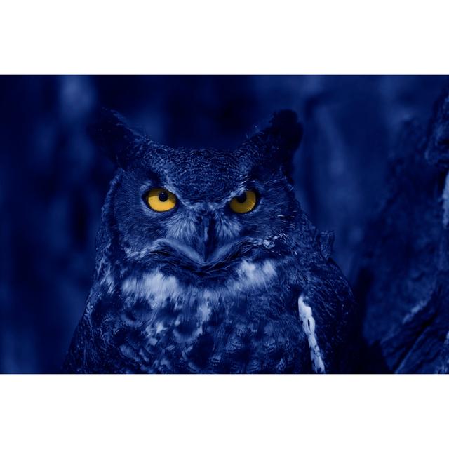 Watchful Owl At Night by ZE14361 - No Frame Art Prints on Canvas Alpen Home Size: 30cm H x 46cm W on Productcaster.