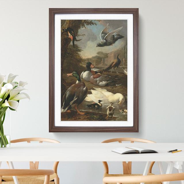 Collection of Birds Vol.2 by Melchior D'Hondecoeter - Picture Frame Painting East Urban Home Frame Option: Walnut Framed, Size: 36cm H x 27cm W x 2cm on Productcaster.