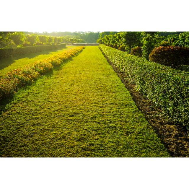 Beautiful Garden by VSanandhakrishna - Wrapped Canvas Print Latitude Run Size: 30cm H x 46cm W x 3.8cm D on Productcaster.