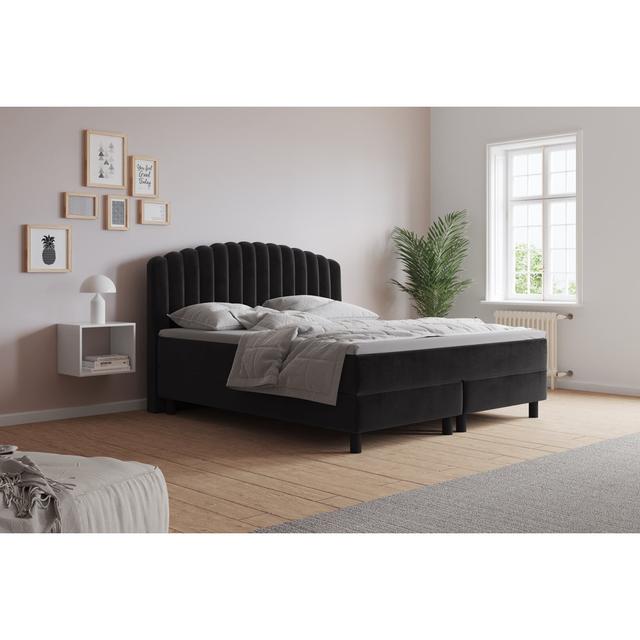 Echtes Boxspringbett Adinath mit Kaltschaum Topper, mit Samtstoff bezogen Canora Grey Farbe: Dunkelgrau, Matratzenhärte: H4 - ab etwa 100 kg, Größe: 2 on Productcaster.