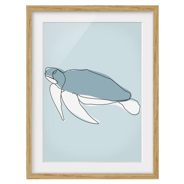 Turtle Line Art - Picture Frame Graphic Art Bay Isle Home Size: 100cm H x 70cm W x 2cm D, Frame Option: Brown on Productcaster.