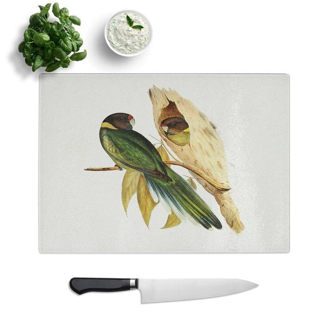 Tempered Glass Yellow-Collared Parakeets by Elizabeth Gould Chopping Board East Urban Home Size: 39 cm W x 28.5 cm L on Productcaster.