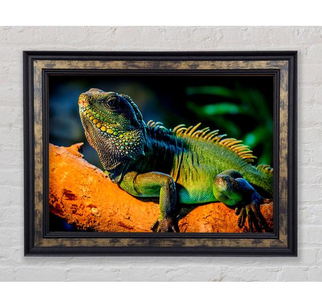 Iguana - Single Picture Frame Art Prints Rosalind Wheeler Size: 29.7cm H x 42cm W x 8cm D on Productcaster.