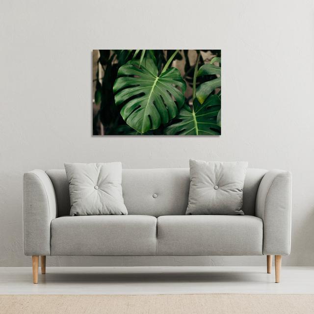 Monstera Leaves In Home Interior Canvas Print Andrew Lee on Productcaster.