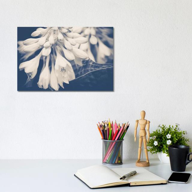 In the Morning by Olivia Joy StClaire - Wrapped Canvas Art Prints Ebern Designs Size: 20.32cm H x 30.48cm W x 1.905cm D on Productcaster.