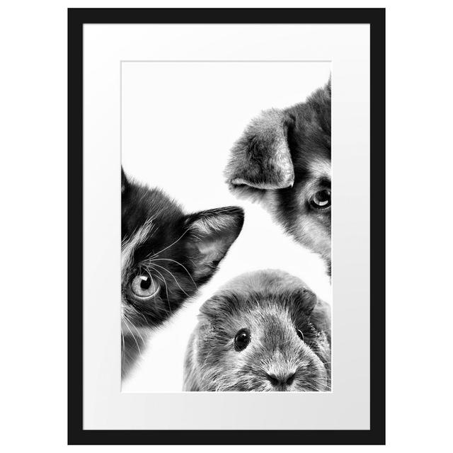 Gerahmtes Poster Trio Hund Katze Meerschwein East Urban Home Größe: 55 cm H x 40 cm B on Productcaster.