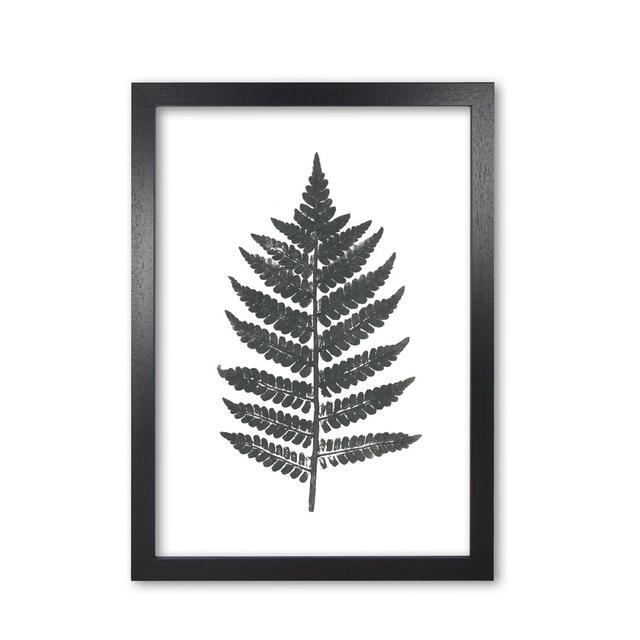 Vintage Fern - Picture Frame Photograph Print on Paper East Urban Home Format: Black Grain Frame, Size: 30 cm H x 21 cm W x 5 cm D on Productcaster.