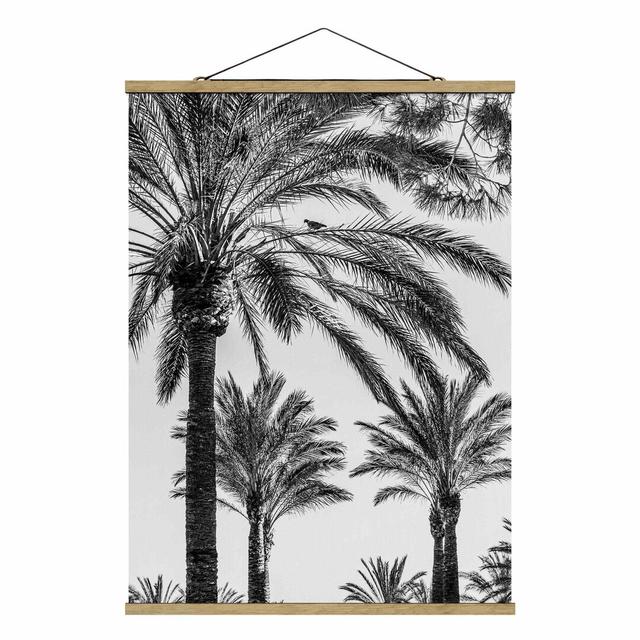 Palm Trees in Sunset Black and White - Photograph Print Pergo Classics Size: 106.5cm H x 80cm W x 0.3cm D on Productcaster.