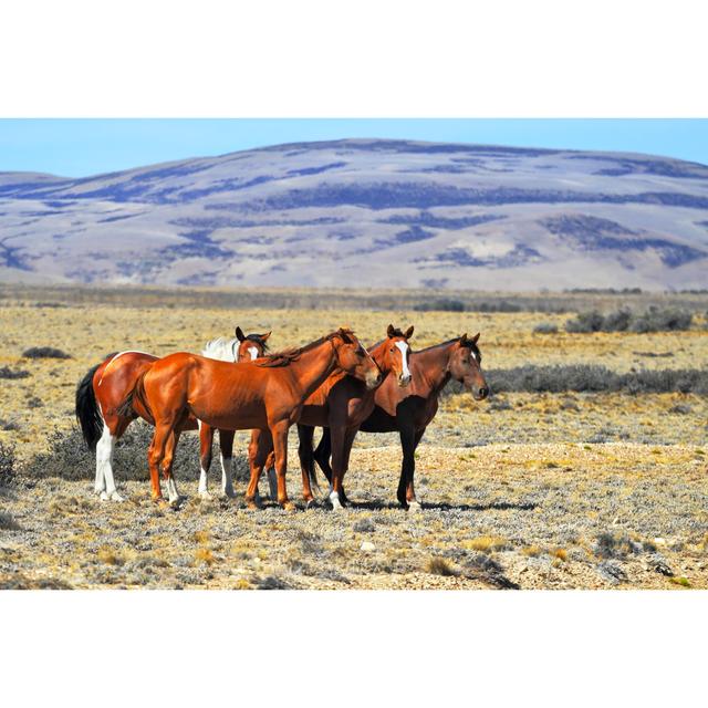 The Herd Of Mustangs by Kavram - Print Alpen Home Size: 61cm H x 91cm W x 3.8cm D on Productcaster.