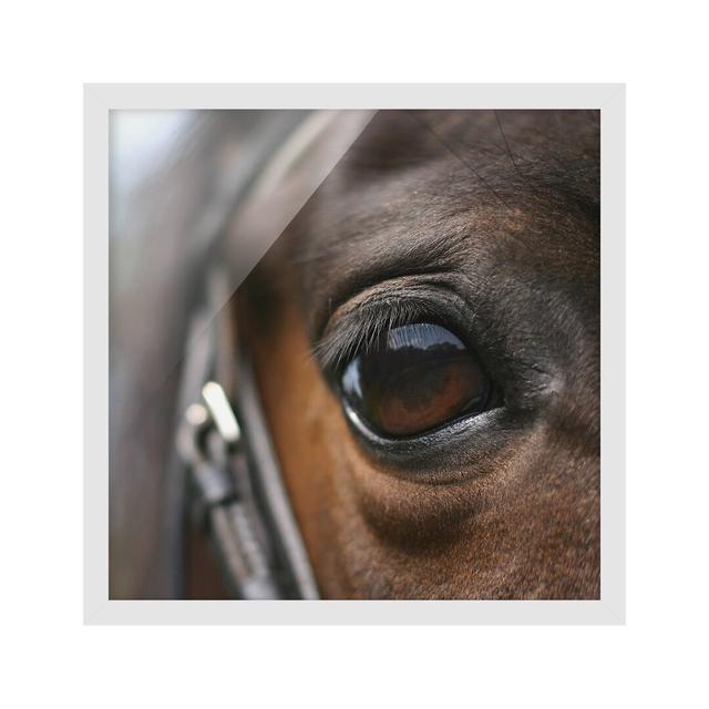 Horse Eye No.3 - Picture Frame Graphic Art Ebern Designs Frame Option: White Framed on Productcaster.