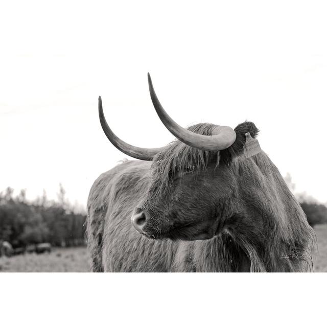 On The Ranch I by Andre Eichman - Wrapped Canvas Print Union Rustic Size: 61cm H x 91cm W on Productcaster.