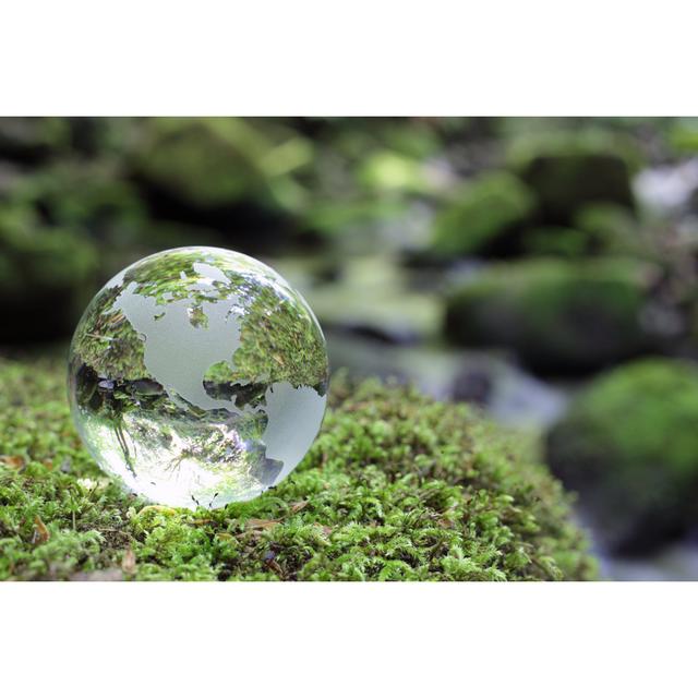 Globe in the Forest by Brian A Jackson - Wrapped Canvas Photograph 17 Stories Size: 81cm H x 122cm W on Productcaster.