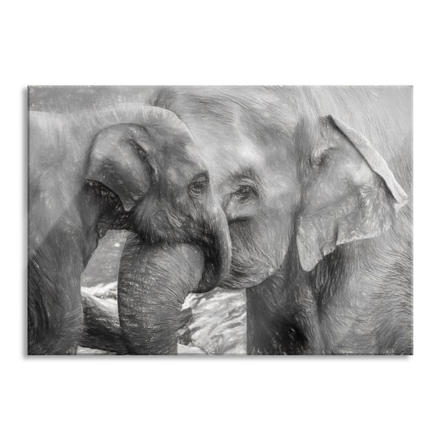 Elephant Mother With Calf - No Frame Print on Glass 17 Stories Size: 70cm H x 100cm W x 0.4cm D, Colour: Black/White on Productcaster.