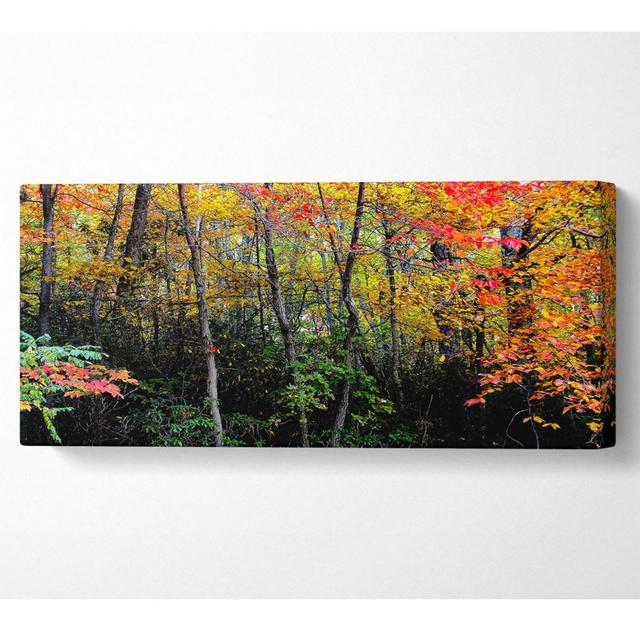 Stunning Colourful Autumn Forest - Print Union Rustic Size: 81.3cm H x 183cm W x 10cm D on Productcaster.