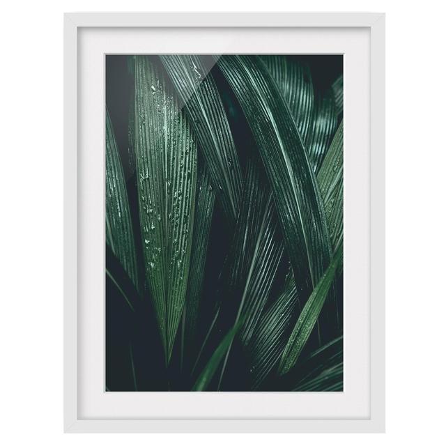 Green Palm Leaves Framed Print East Urban Home Frame Options: Matt white, Size: 100 cm H x 70 cm W on Productcaster.