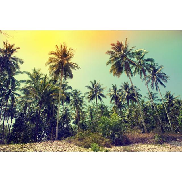 Palm Trees by Vadimrysev - Wrapped Canvas Photograph Bay Isle Home Size: 20cm H x 30cm W x 3.8cm D on Productcaster.