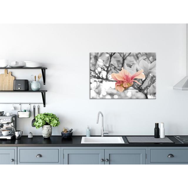 Pink Magnolia Blossoms In Spring - No Frame Print on Glass Brayden Studio Size: 60cm H x 80cm W x 0.4cm D, Colour: Black/White on Productcaster.