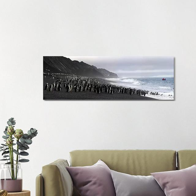 Chinstrap Penguins Marching To The Sea, Bailey Head, Deception Island, Antarctica by Panoramic Images - Panoramic Gallery-Wrapped Canvas Giclée on Can on Productcaster.