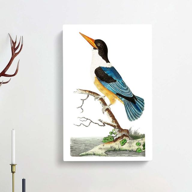 Blue Kingfisher by George Shaw - Wrapped Canvas Painting Print East Urban Home Size: 60cm H x 40cm W x 3cm D on Productcaster.