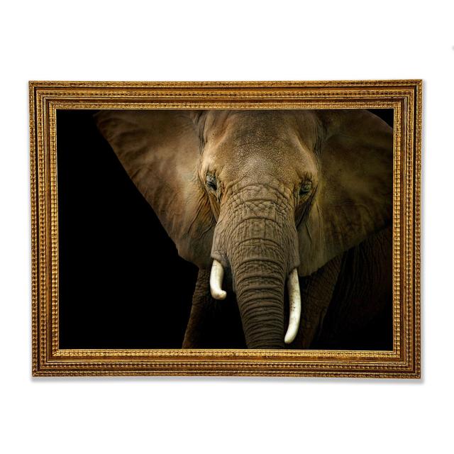 Stunning Elephant Face - Print Ebern Designs Size: 29.7cm H x 42cm W on Productcaster.