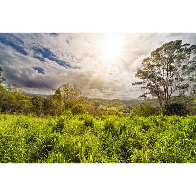 Australian Valley by Quirex - Print Alpen Home Size: 61cm x 91cm W on Productcaster.