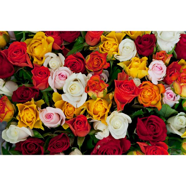 Bunch Of Roses by Daneger - No Frame Print on Canvas Latitude Run Size: 20cm H x 30cm W on Productcaster.