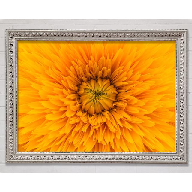 Gorgeous Yellow Flower Delight - Single Picture Frame Art Prints Bright Star Size: 21cm H x 29.7cm W on Productcaster.