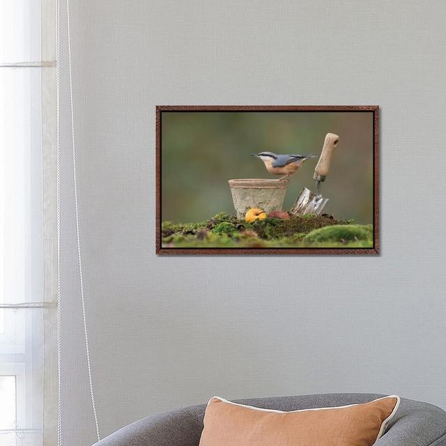 The Garden Nuthatch by Dean Mason - Photograph Print on Canvas Ebern Designs Size: 45.72cm H x 66.04cm W x 3.81cm D, Format: Classic Brown Wood Framed on Productcaster.