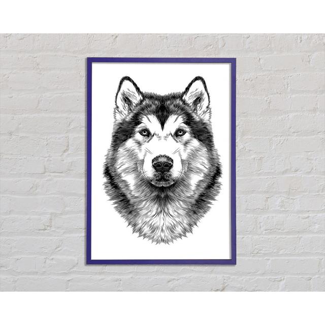 Husky Wolf - Print Ophelia & Co. Size: 42cm H x 29.7cm W x 2cm D, Format: Purple Framed Paper on Productcaster.