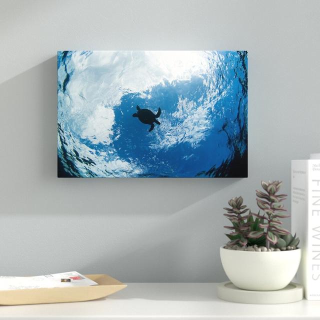 Green Sea Turtle From Below - Wrapped Canvas Photograph Print East Urban Home Size: 76.2cm H x 114.3cm W x 3.81cm D on Productcaster.