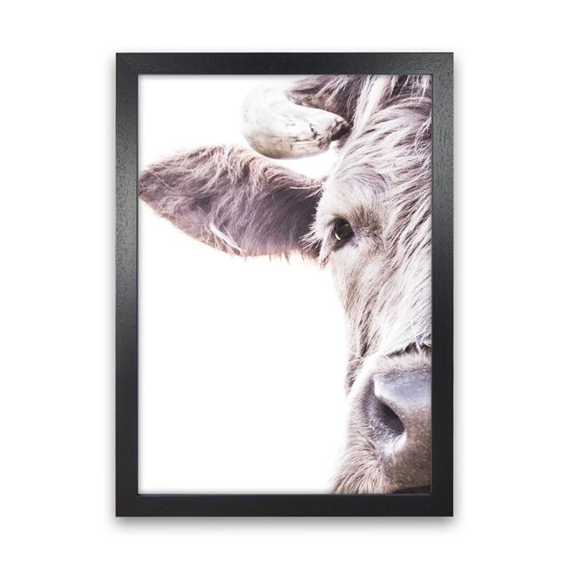 Highlander II by Victoria Frost - Print August Grove Format: Black Framed, Size: 88cm H x 64cm W x 3cm D on Productcaster.