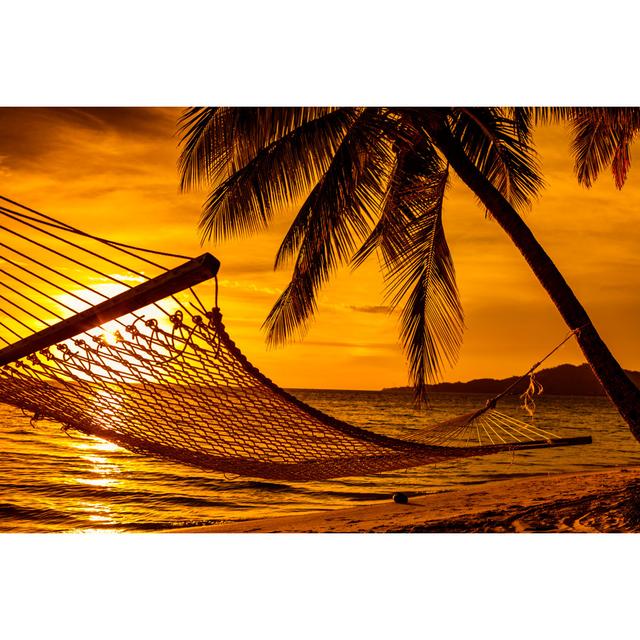 Hammock At Beach House of Hampton Size: 51cm H x 76cm W x 3.8cm D on Productcaster.