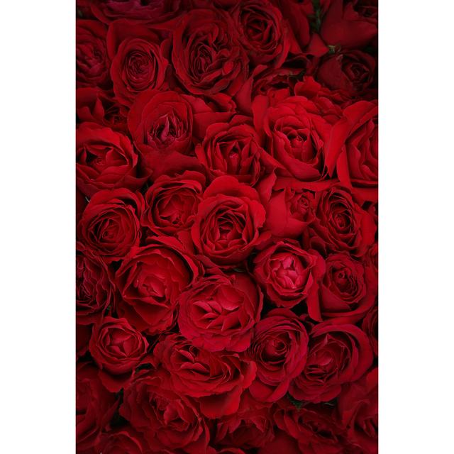 Deep roses 157315114 Fairmont Park Size: 76cm H x 51cm W on Productcaster.