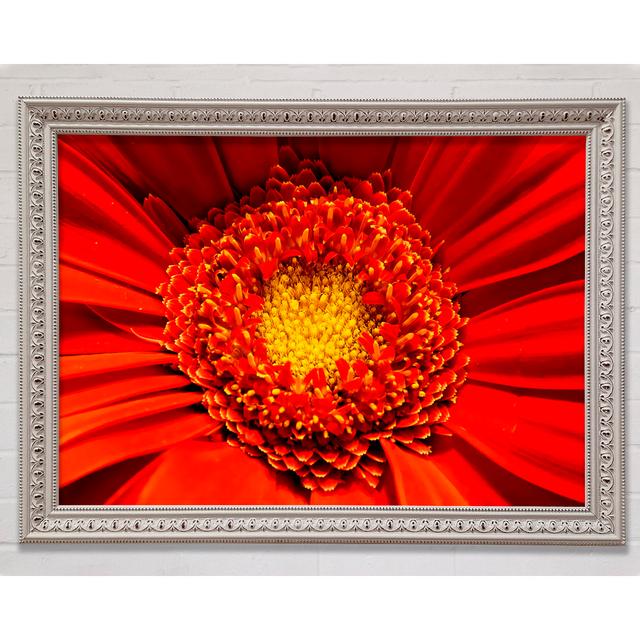 The Centre Of A Gerbera - Single Picture Frame Art Prints Ebern Designs Size: 42cm H x 59.7cm W x 3cm D, Format: White Framed Paper on Productcaster.