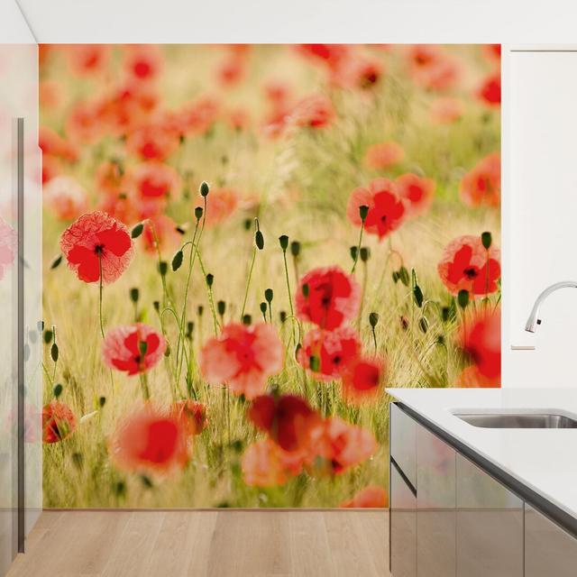 Summer Poppies 2.88m x 2.88m Textured Matte Peel & Stick Wall Mural East Urban Home on Productcaster.